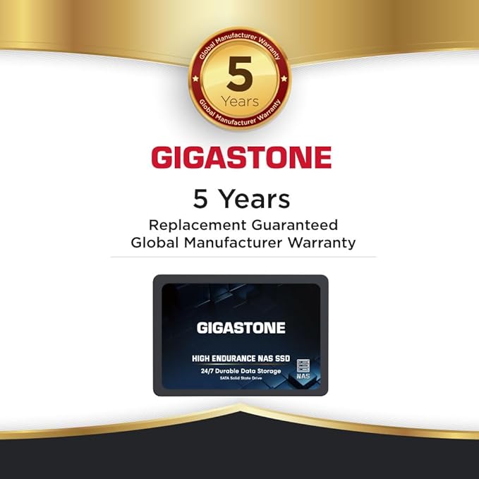 Gigastone 1TB NAS SSD Drive (2-Pack) 24/7 Durable TLC High Endurance RAID Data Storage Network Attached Storage 2.5" SATA Internal Solid State Hard Drives
