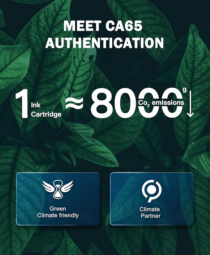 HALLOLUX 138A Black Laserjet Toner Cartridge (with Chip) Compatible Replacement for HP 138A W1380A 138X W1380X for HP Laserjet Pro 3001dw MFP 3101fdw 3001fdw Printer Ink (2 Pack Black, 138A Toner)