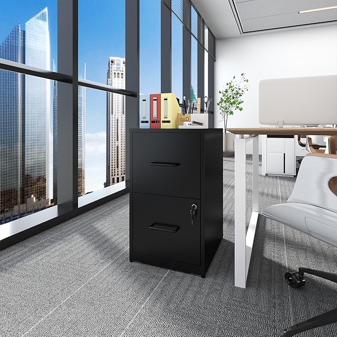 2 Drawer File Cabinet with Lock, Vertical File Cabinet with Lock, Locking File Cabinet Hanging Files for A4/ Legal/Letter,Black