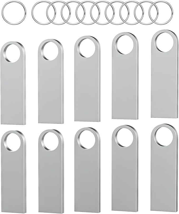 ABLAZE 1GB Flash Drive 10 Pack, Metal USB 2.0 Thumb Drives with Keychains USB Sticks Pendrives (Sliver)