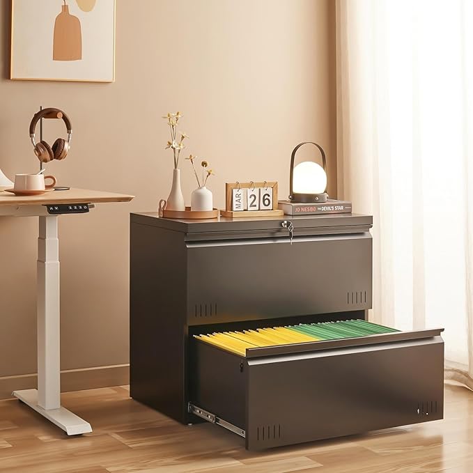 2 Drawer File Cabinet, File Cabinets for Home Office, Printer Stand, File Cabinet with Lock, Lateral Filing Cabinet for A4/Letter/Legal Size File Folders, Assembly Required(Black)