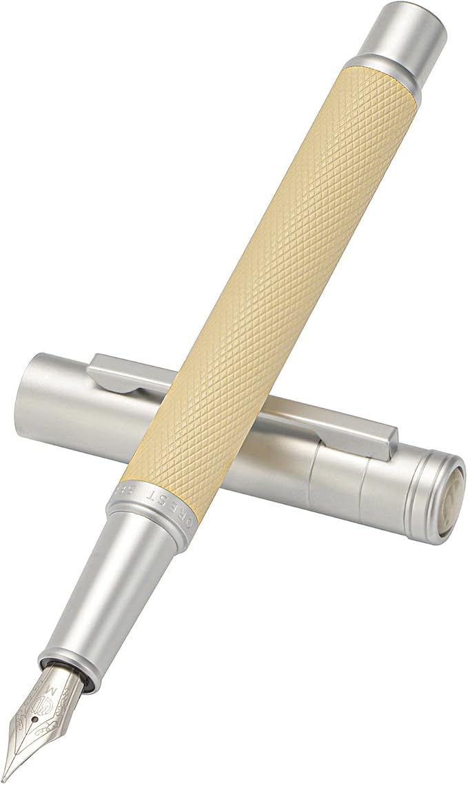 Hongdian Silver Birch Forest Aluminum Fountain Pen Medium Nib with Metal Box Writing Pen Set'1 Count (Pack of 1)