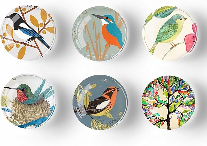 12Pcs Glass Refrigerator Magnet Fridge Sticker,Bird Fridge Magnets Decoration for Crafts,Strong Fridge Magnets for Kitchen, School,Office Whiteboard, Cabinet and Dishwasher