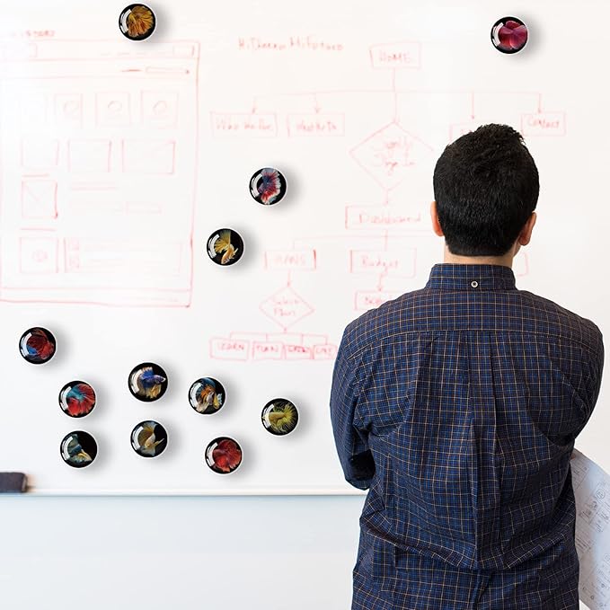 12Pcs Glass Strong Magnetic Refrigerator Magnet Fridge Sticker,Fish Fridge Magnets Decoration for Crafts,Strong Fridge Magnets for Kitchen, School,Office Whiteboard, Cabinet and Dishwasher