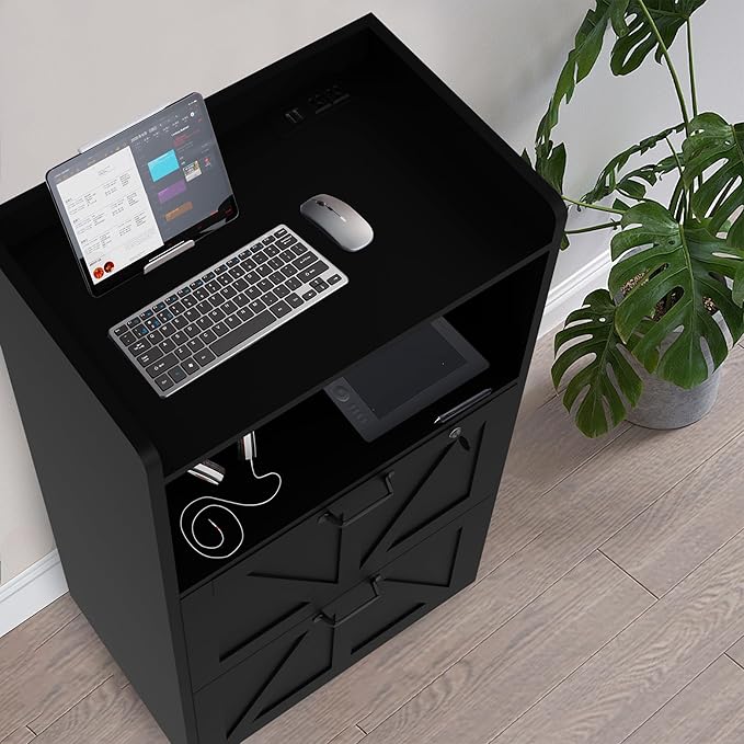 2 Drawer Lateral File Cabinet with Charging Station, Wood Filing Cabinet with Lock & LED Light, Large Storage Printer Stand for Home Office, Black