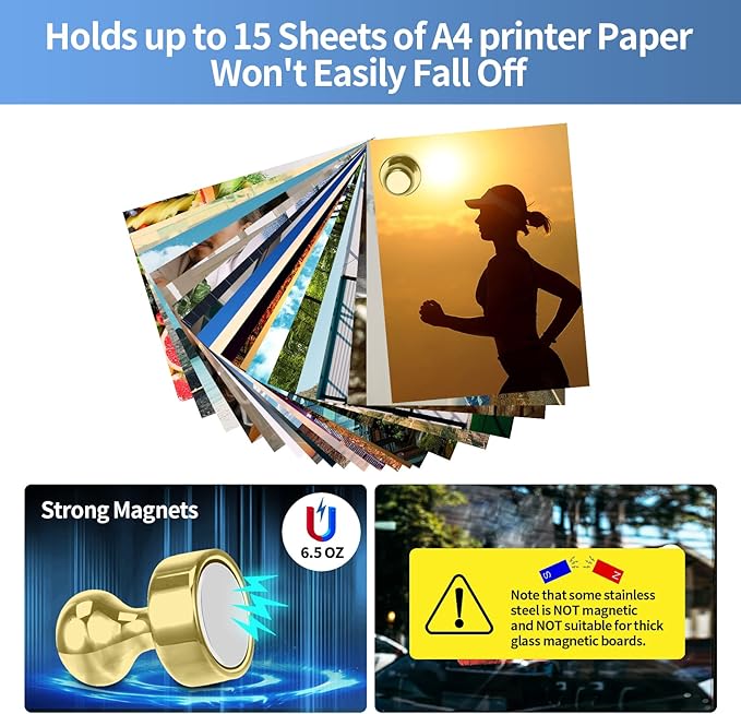 12Pack Gold Magnets for Whiteboard Cute Fridge Magnet Small Refrigerator Magnets Office Magnets for Fridge Whiteboard Billboard in Kitchen Home Classroom School