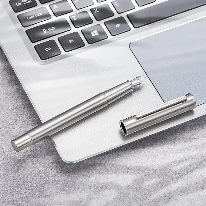Hongdian 1861 Stainless Steel Fountain Pen Fine Nib, Classic Design Smooth Writing Pen with Converter and Metal Pen Case Set