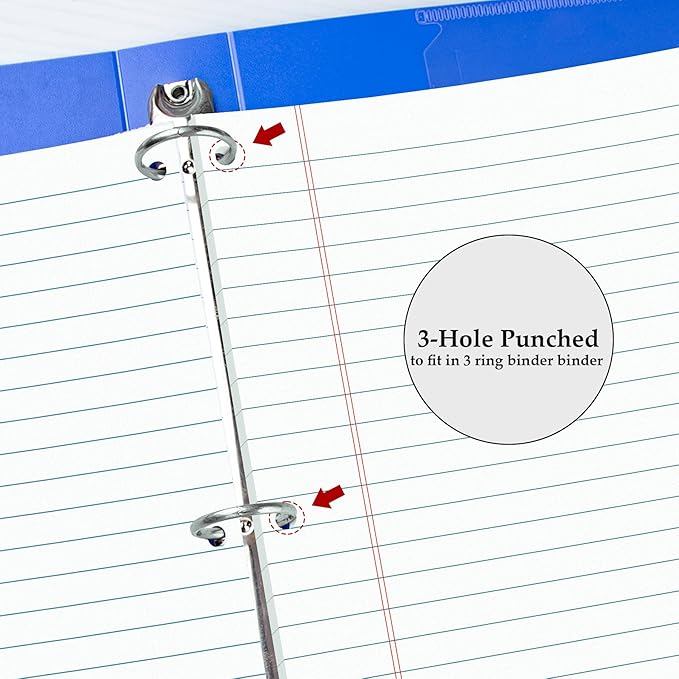 HAUTOCO 12 Pack 8.5 x 11 Legal Pads White Wide Ruled Notepads Perforated Writing Pads, 30 Sheets Per Notepad, 3-Hole Punched Paper, Writing Note Pads for School, Home, Office, Business