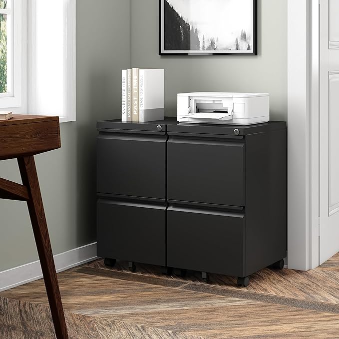 2 Drawers File Cabinet with Lock Metal Vertical File Cabient with Wheels Mobile File Cabinet for Office Home Legal/Letter/a4 Size Fully Assembled